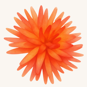 Tui Orange